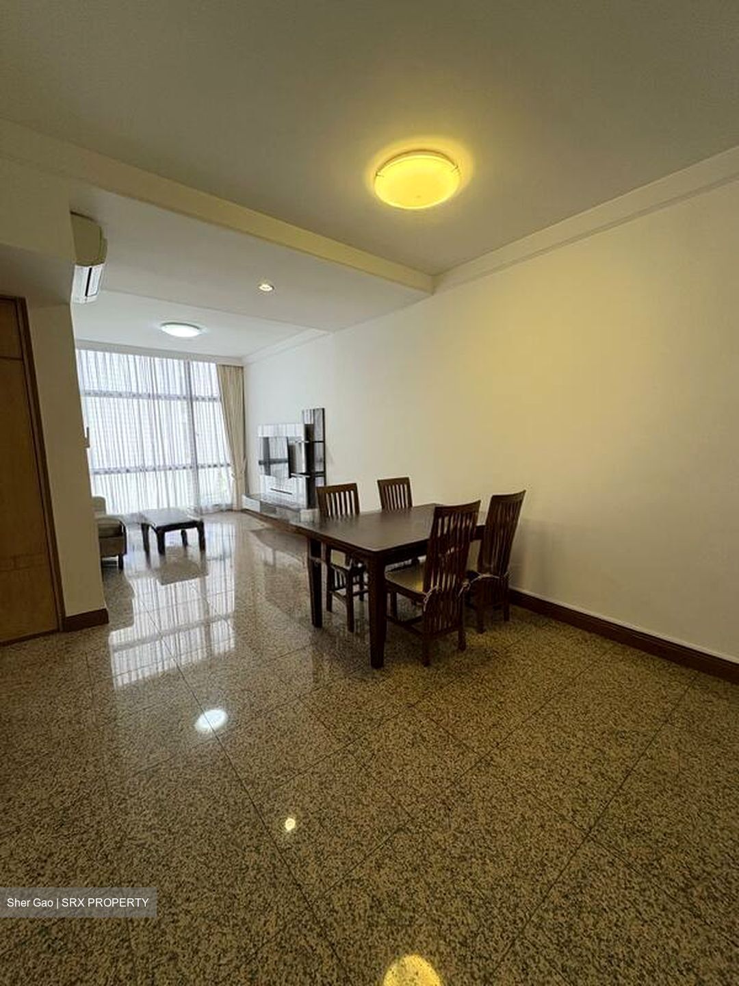 River Place (D3), Condominium #496822471